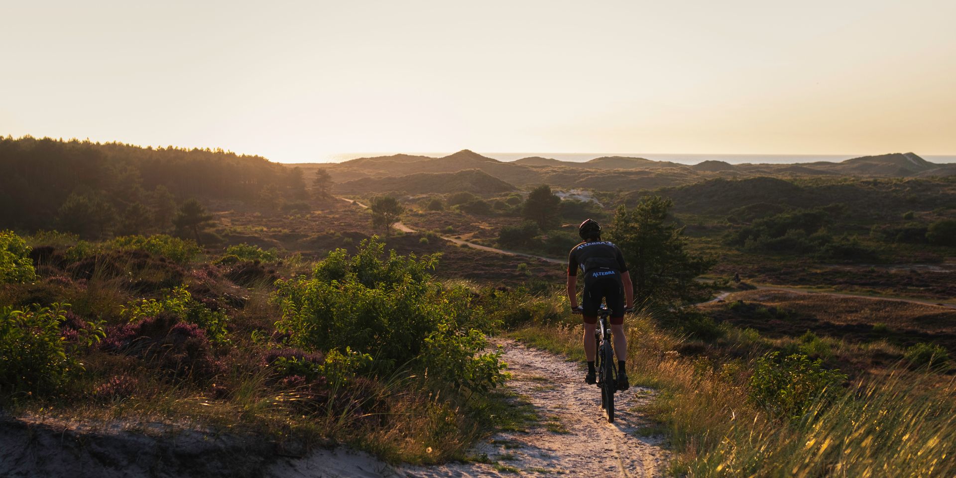 mountainbiker in de heide met ondergaande zon